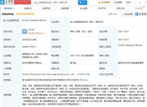 金山云加码智慧城市赛道，新设科技公司布局物联网与零售服务